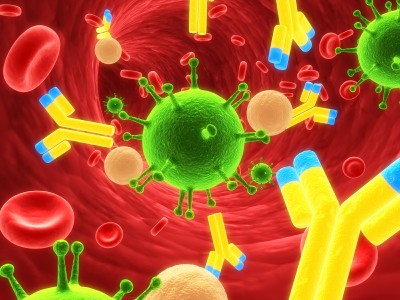 Основы коррекции иммунного статуса