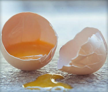 Сальмонеллез: «болезнь сырых яиц»