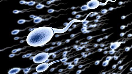 Ученые все ближе к открытию оральных контрацептивов для мужчин
