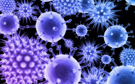 Вирусы умеют защищаться от более мелких "собратьев"