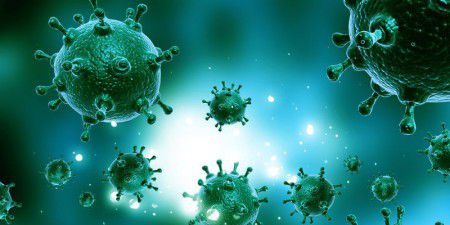 Вирусы расскажут ученым о жизни человека